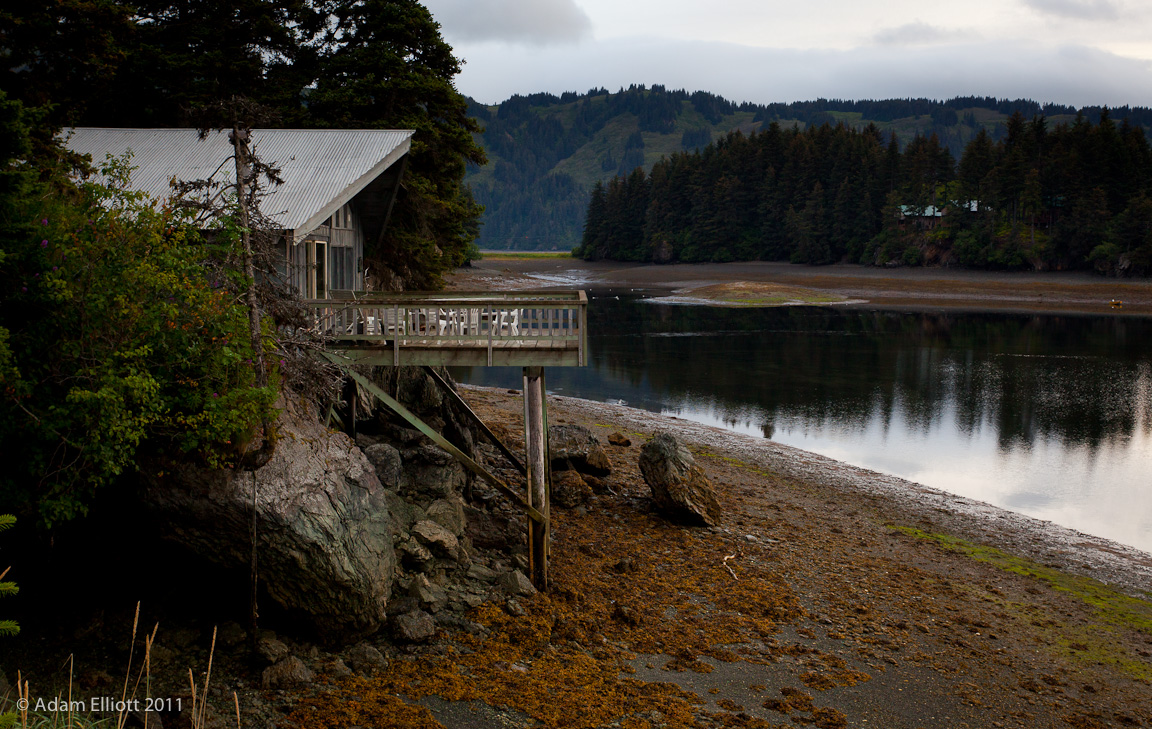 Atom's Picture Blog Seldovia