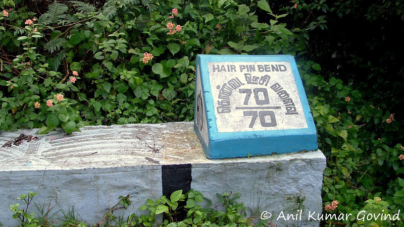Namakkal Kolli Hills