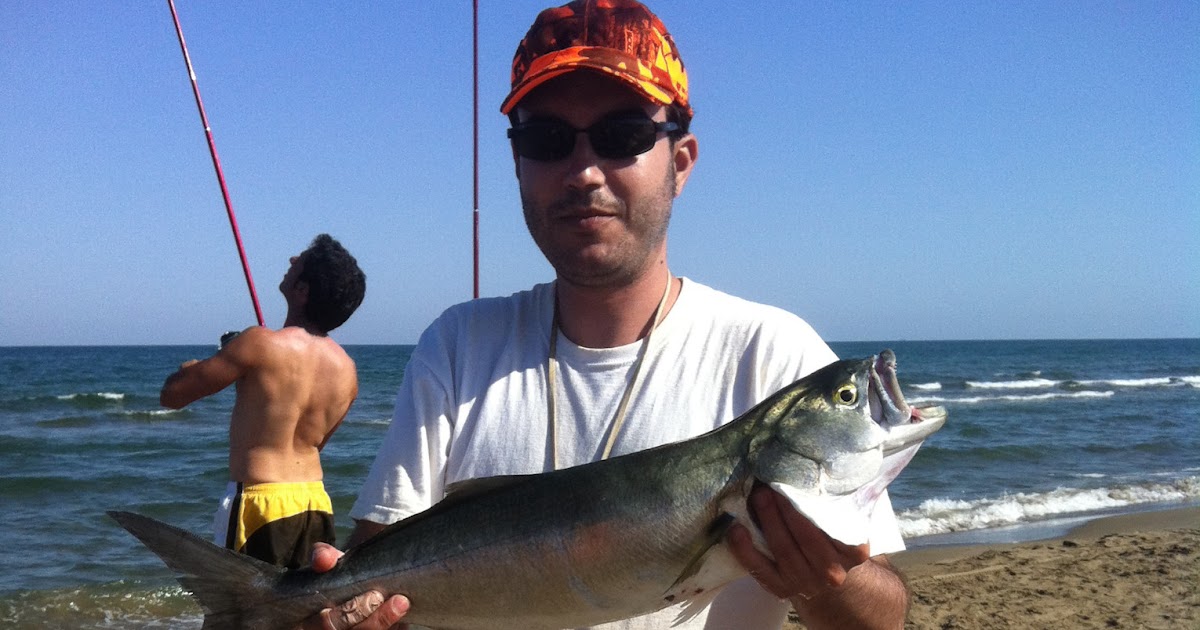 Pesca Surfcasting Spinning Pesca del dorado I Introducción