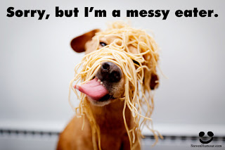 dog-eating-spaghetti.jpg