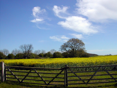 England's green yellow and pleasant land