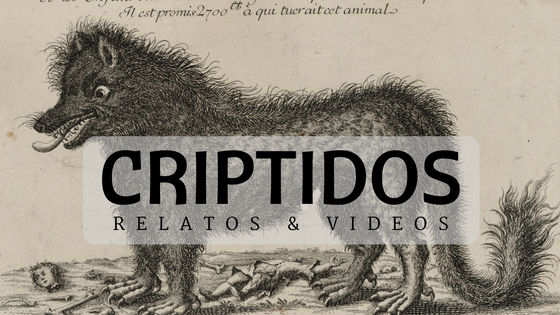 Documentales, vídeos y relatos sobre criptidos