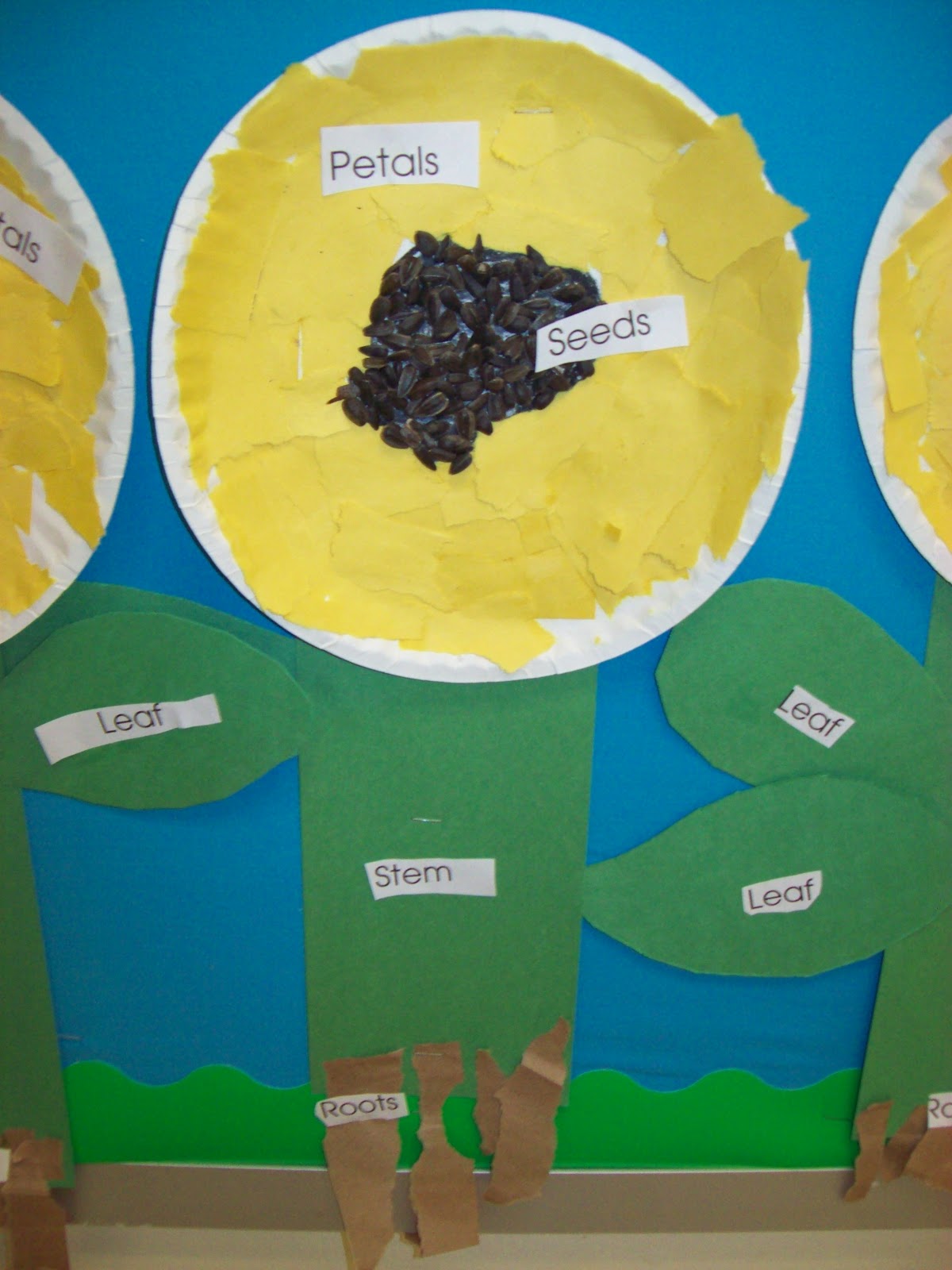plants | Plants kindergarten, Kindergarten activities, Preschool arts