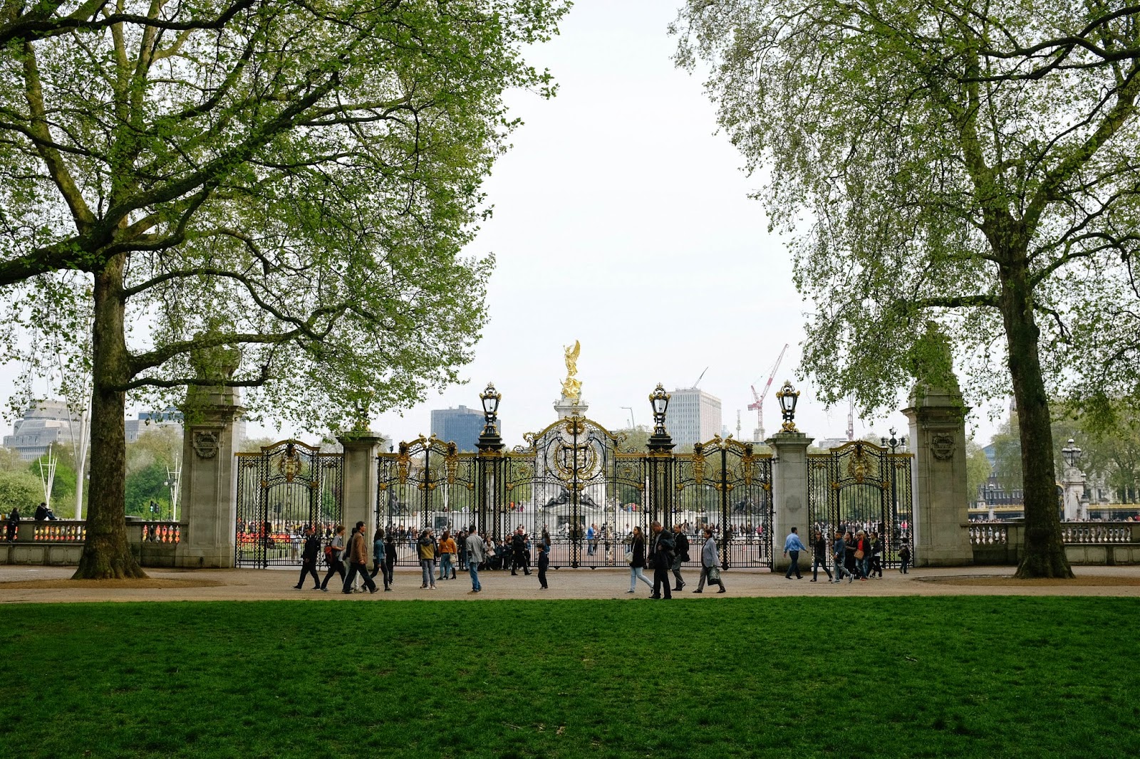 Buckingham Palace & Green Park my haru