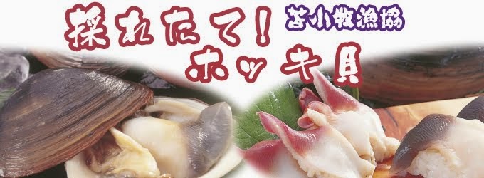 苫小牧産 とれたてホッキ貝（10個入）