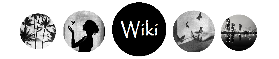 Wiki