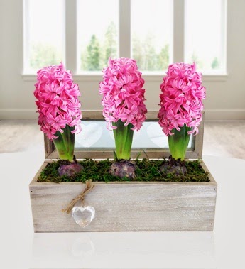 Flowers delivery Flowers delivery