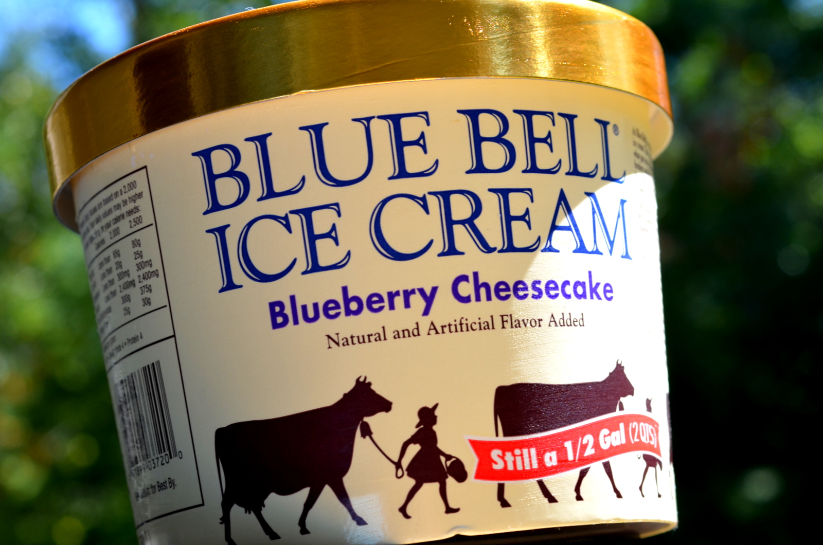 food and ice cream recipes REVIEW Blue Bell Blueberry Cheesecake