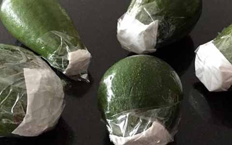 Cara Memeram Buah Alpukat 2 Cara Memeram Buah Alpukat 2
