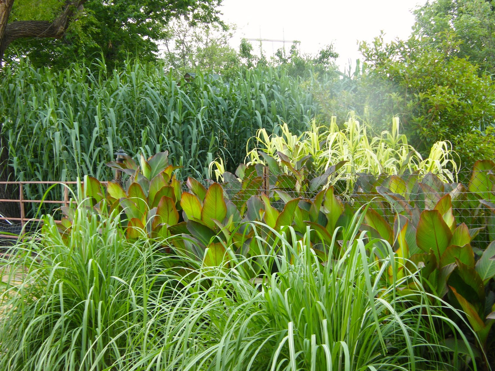 P O T A G E R Meadowbrook Acres Garden Tour