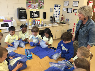 “I scream. You scream. We ALL scream for ice cream!” 1