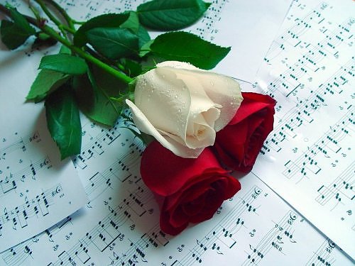 ������ ���� ������ �� ���� ������