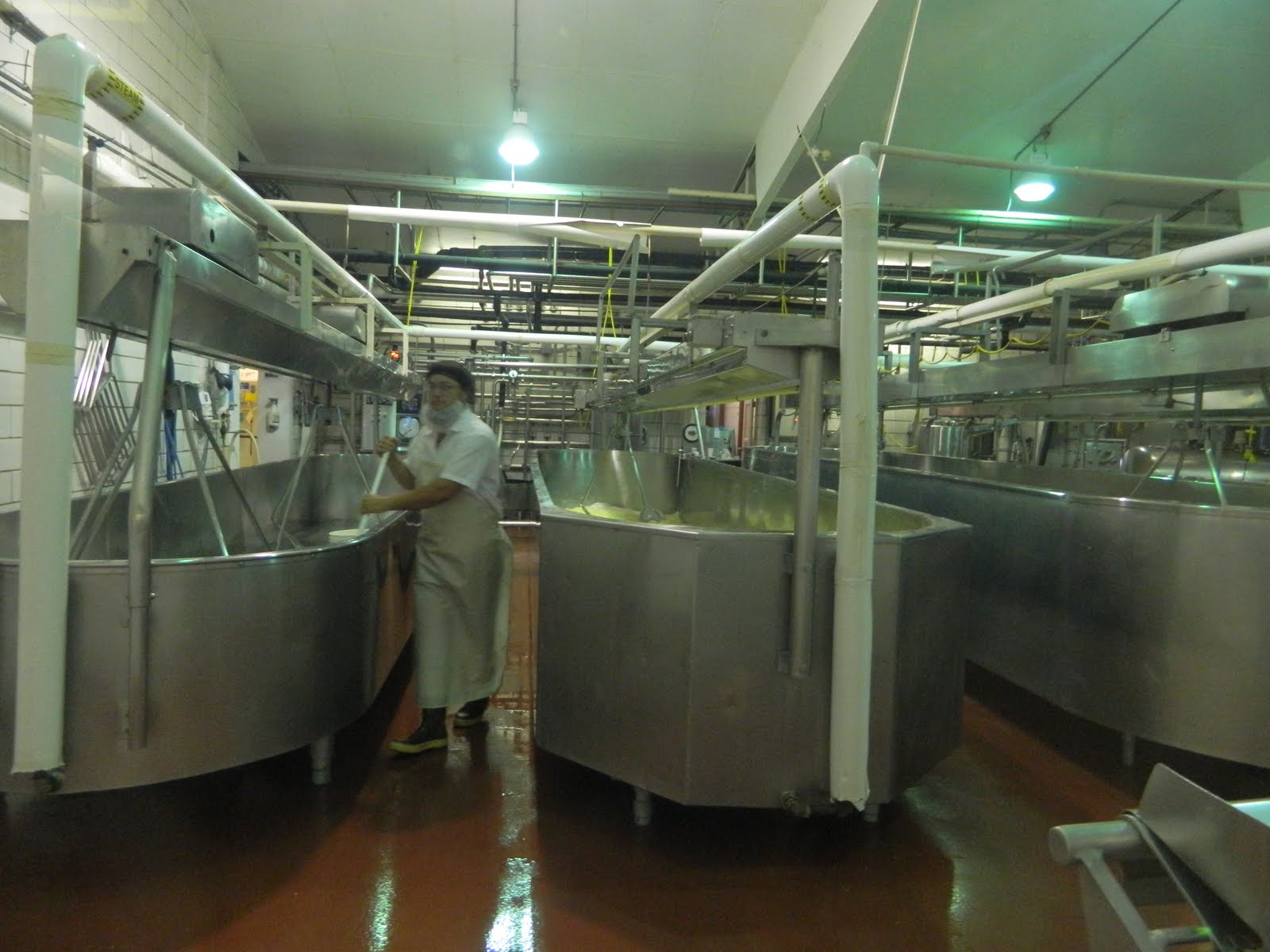 Roaming Rita The Simple Life, the Amish in Ohio