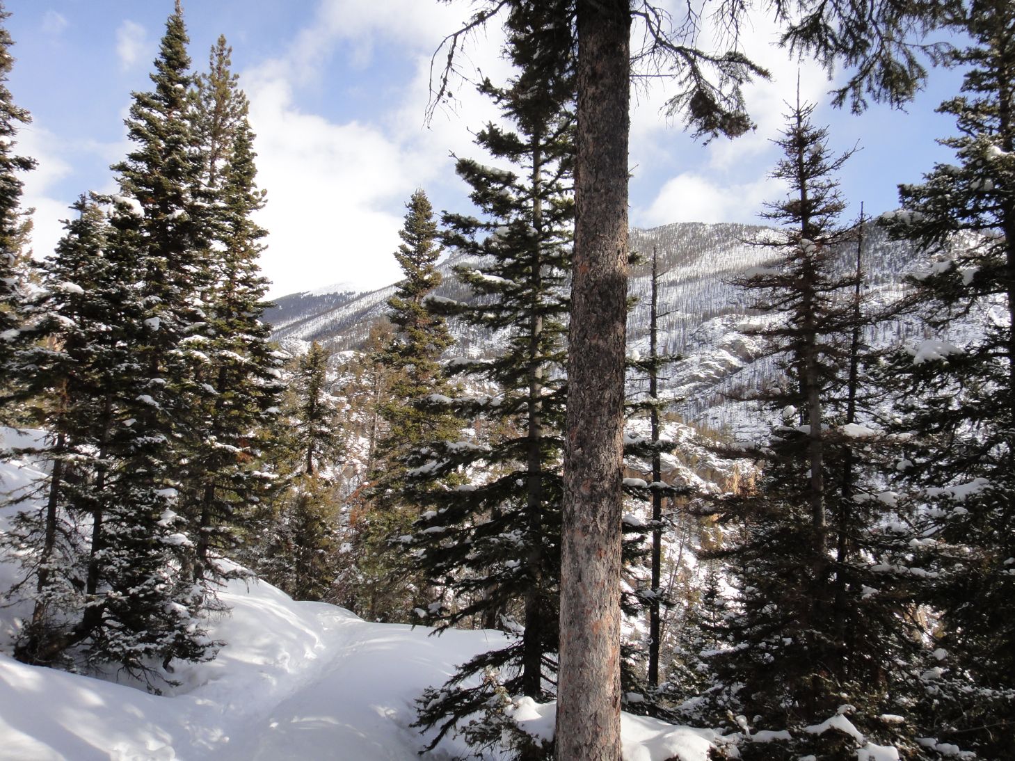 Hiking Rocky Mountain National Park Spruce Lake in the winter.