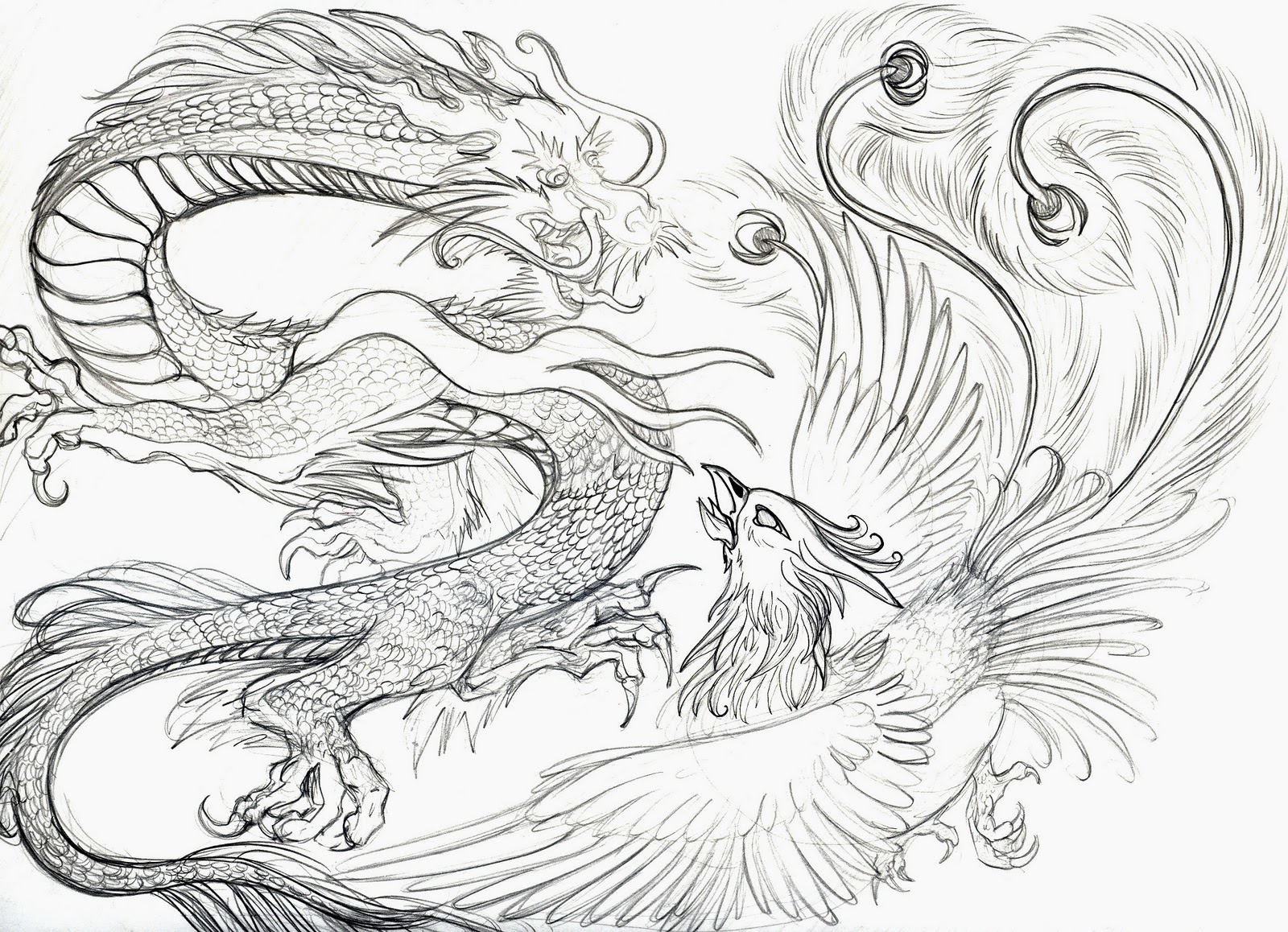 griffe tattoo tattoo fÊnix e dragÃo