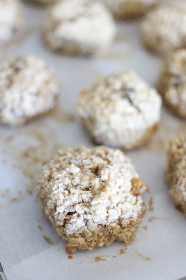 Mama Loves Food! Flourless Oatmeal Cookie Bites