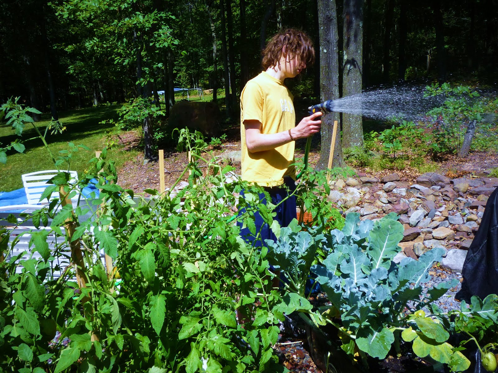 Moonbeams in a Jar MBIAJ's talented gardener