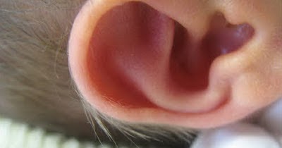 Ear Infection Relief | How to Cure Ear Infection ~ Big Fun - The Fun Blog