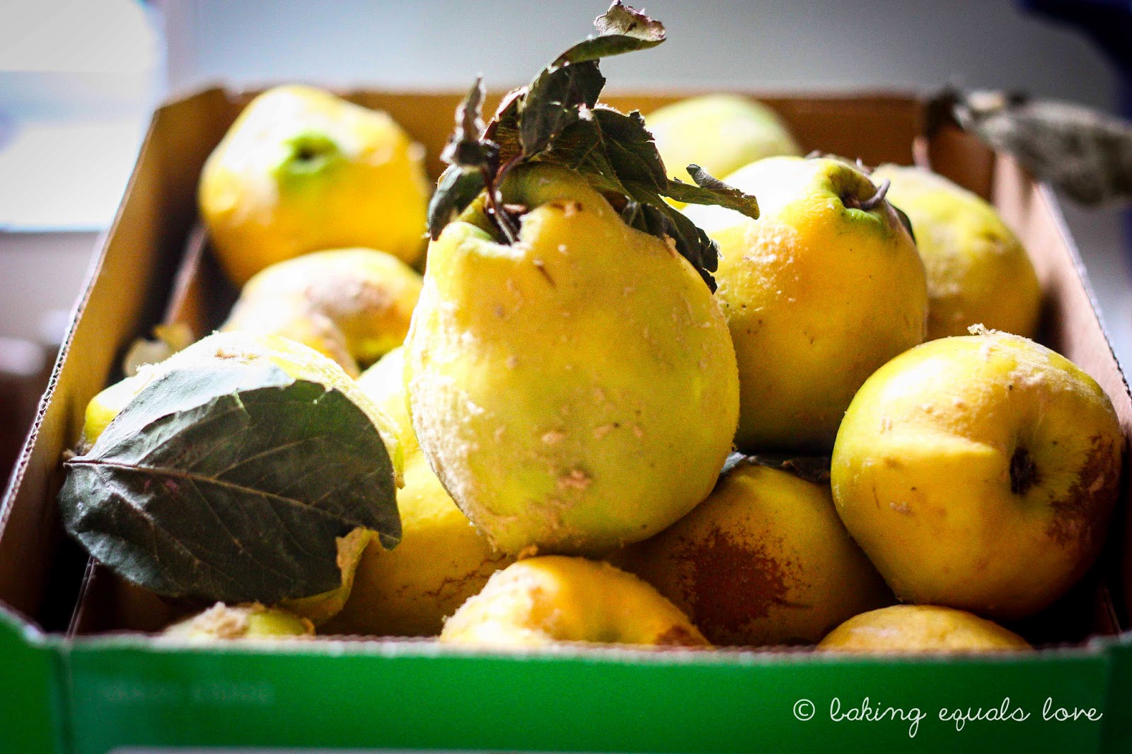 baking = love The Quintessential Quince 2 Quince Paste, Jelly, and Pickle