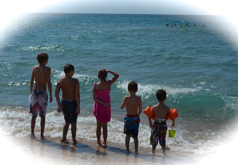 Esch Road - Lake Michigan Beach