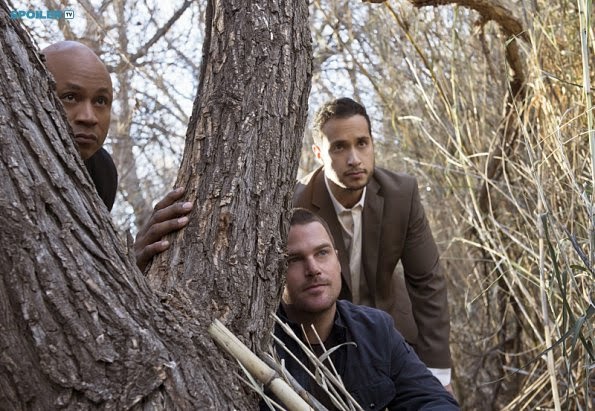 NCIS: Los Angeles - Forest for the Trees - Review: "The Fake-Out"