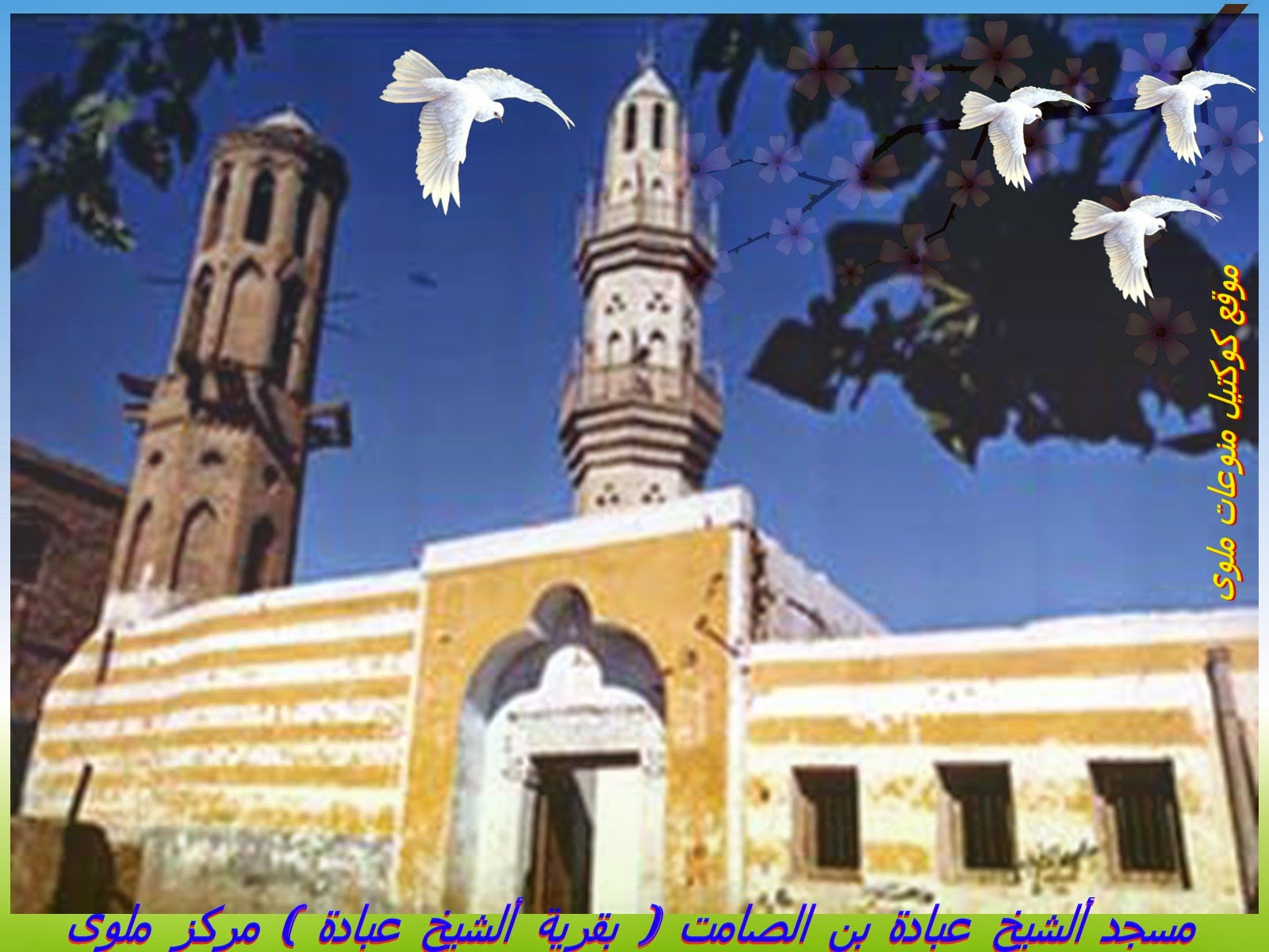 مسجد الصحابى الجليل عبادة بن الصامت بقرية الشيخ عبادة مركز ملوى ( القديم والجديد )