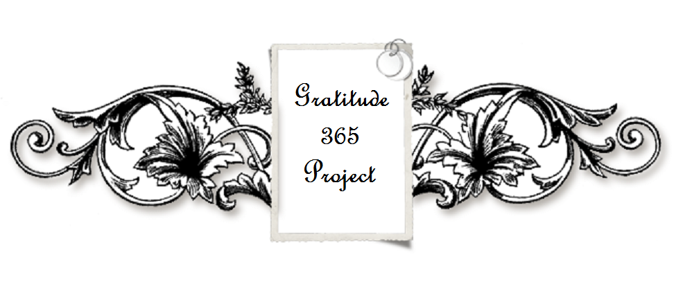 Gratitude 365 Project