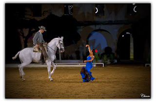 Pasión y Duende del caballo Andaluz. Pasión y Duende del caballo Andaluz.