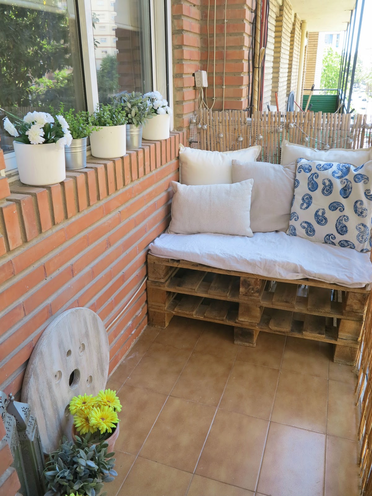 rocco en mi sofa blogger