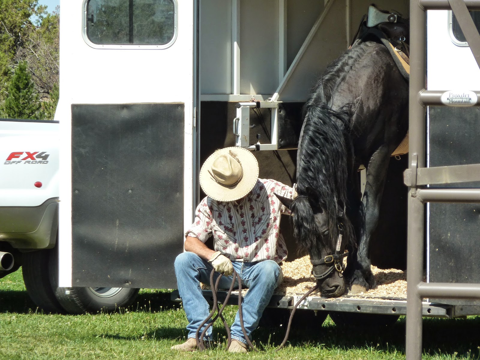 Russell B. Hunston Central Oregon Professional Horse Trainer 541