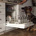 Ο καλύτερος βοηθός! Σκύλος βάζει πλυντήριο πιάτων...
