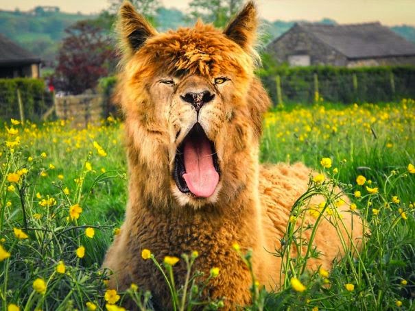 Photoshopでキメラを描くアーティスト