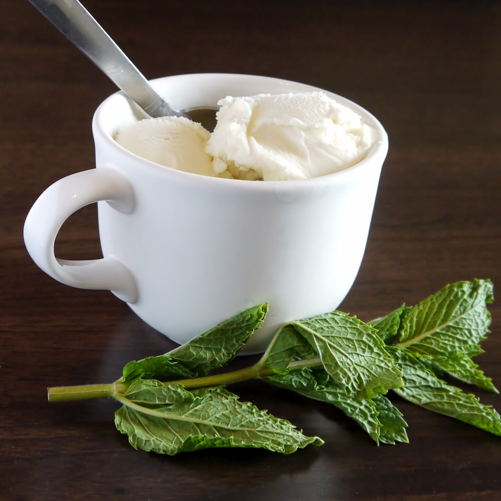 Being the Secret Ingredient At Home with Jeni's Splendid Ice Creams