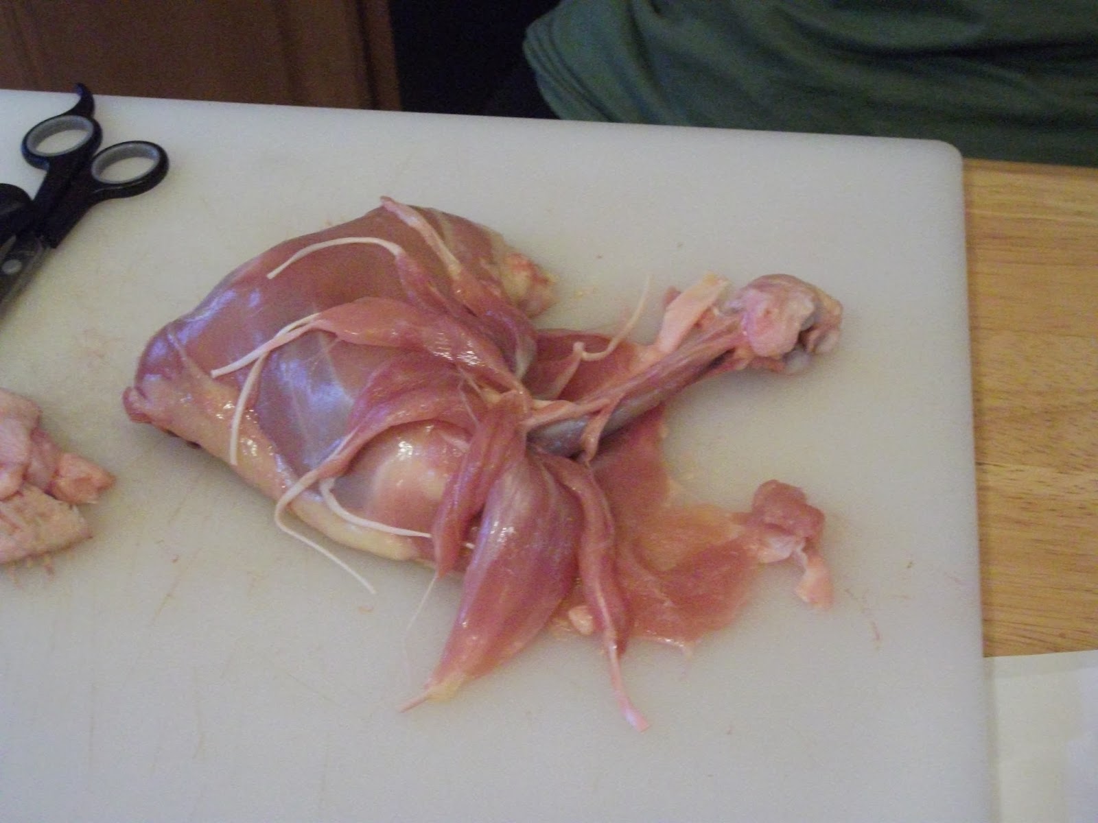 Biology : Chicken Leg Dissection Lab