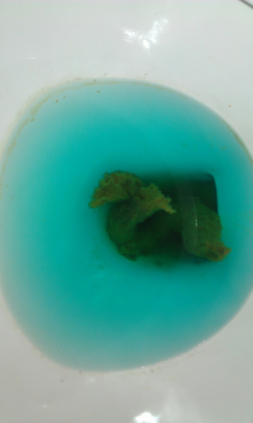 daily poop