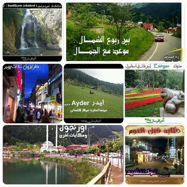 مدونة آخر الفرسان يونيو 2015