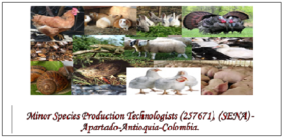 Minor Species Production Technologists (257671), (S.E.N.A) - Apartado-Antioquia-Colombia 