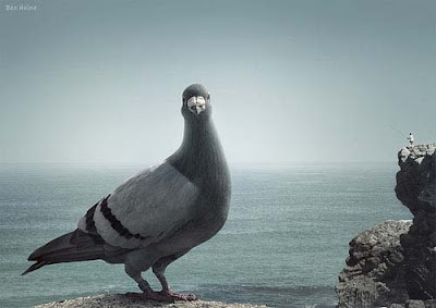 Great Examples Of Forced Perspective ~ PModels.blog Great Examples Of Forced Perspective