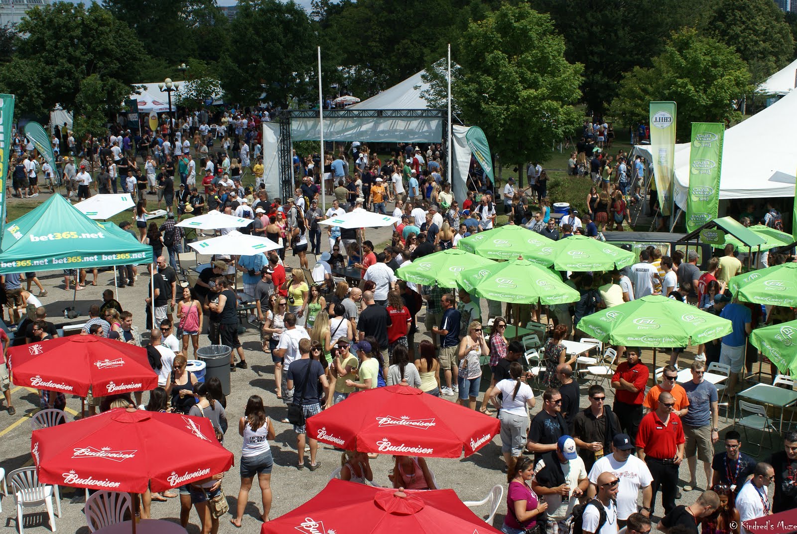 bvlgari automatic watch bvlgari automatic watch