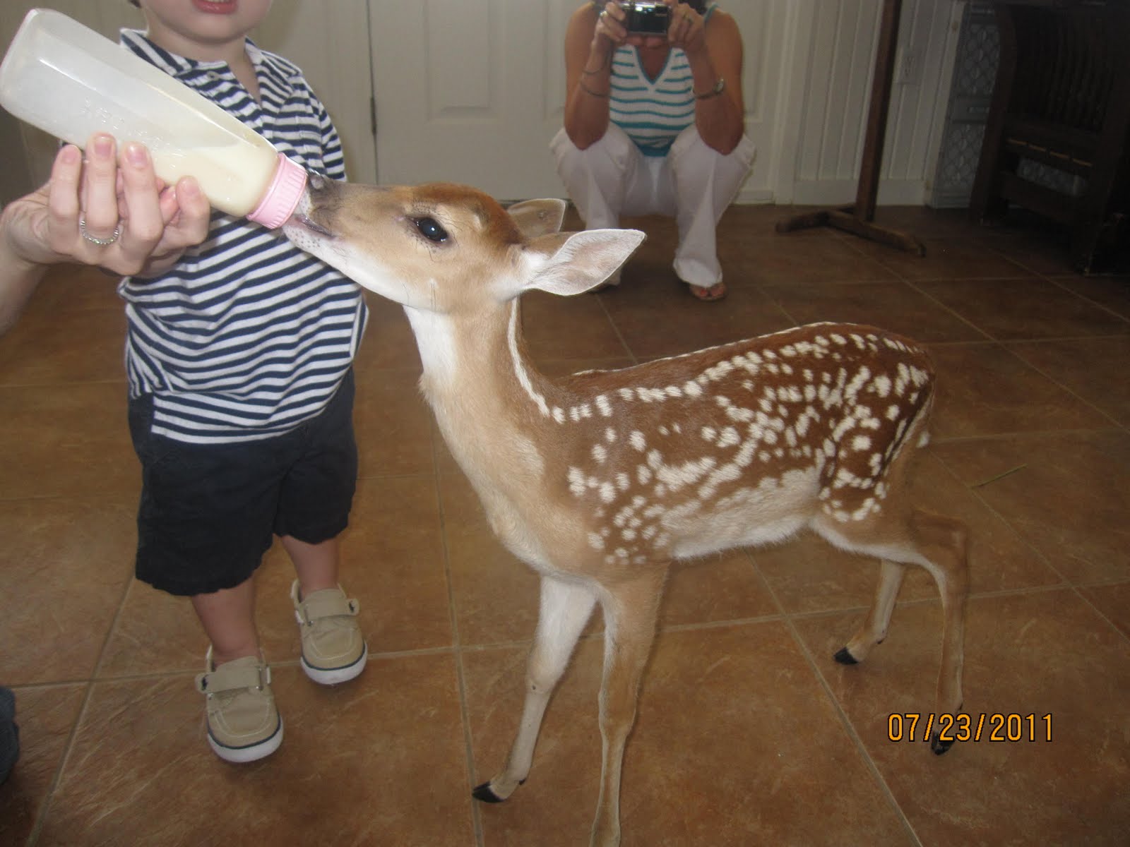 RAISING KANE How To Feed A Baby... Deer