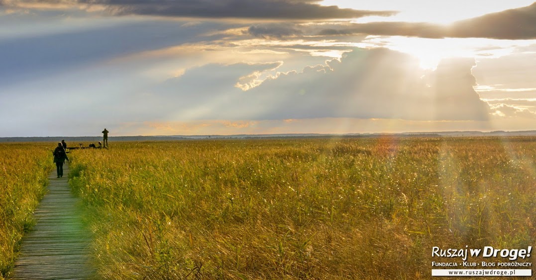 Łosiostrada i kładki - magiczne miejsca nad Biebrzą