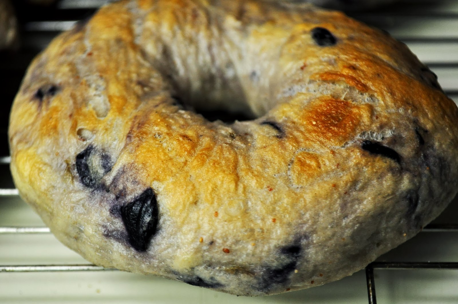 New York Style Blueberry Bagels DIY The Grateful Girl Cooks!