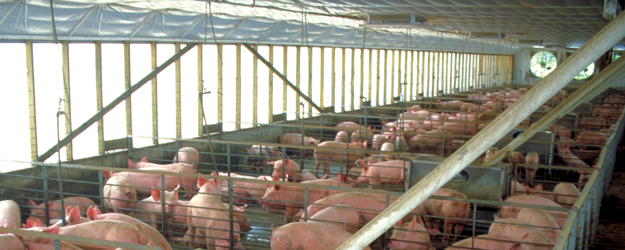 Off the Beaten Path Large or Small, We Need Them All!!!