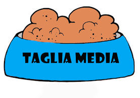 TAGLIA MEDIA