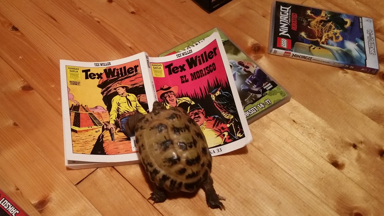 tänä yönä hieronta koiran tyyliin tänä yönä hieronta koiran tyyliin