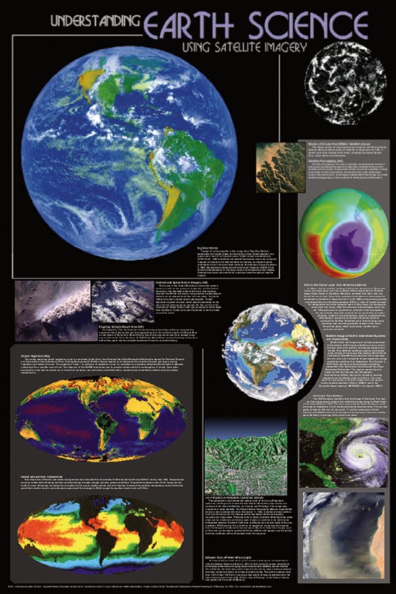 how life form on earth did