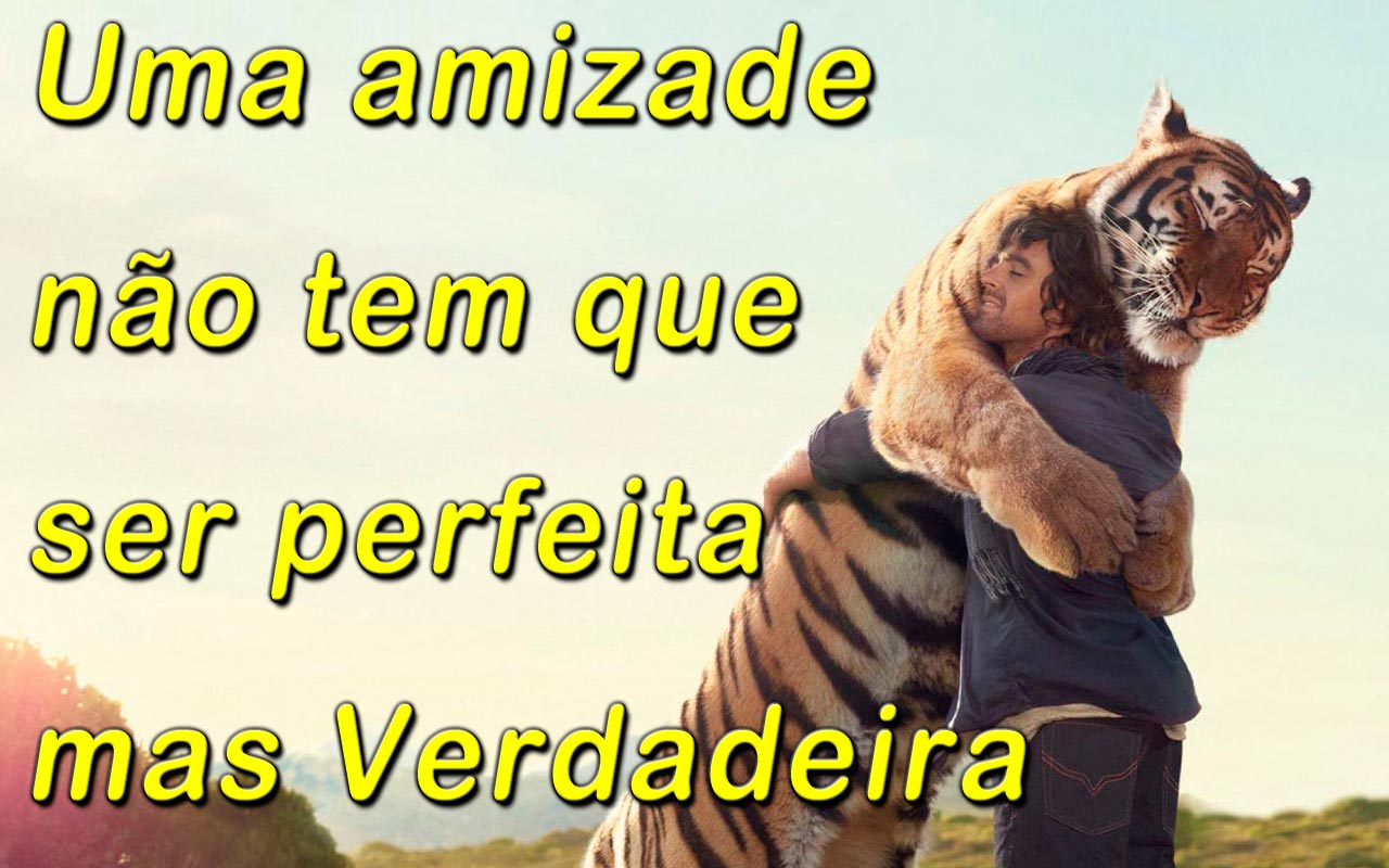 FRASE DIVERSAS EM PORTUGUES frase diversas em portugues: