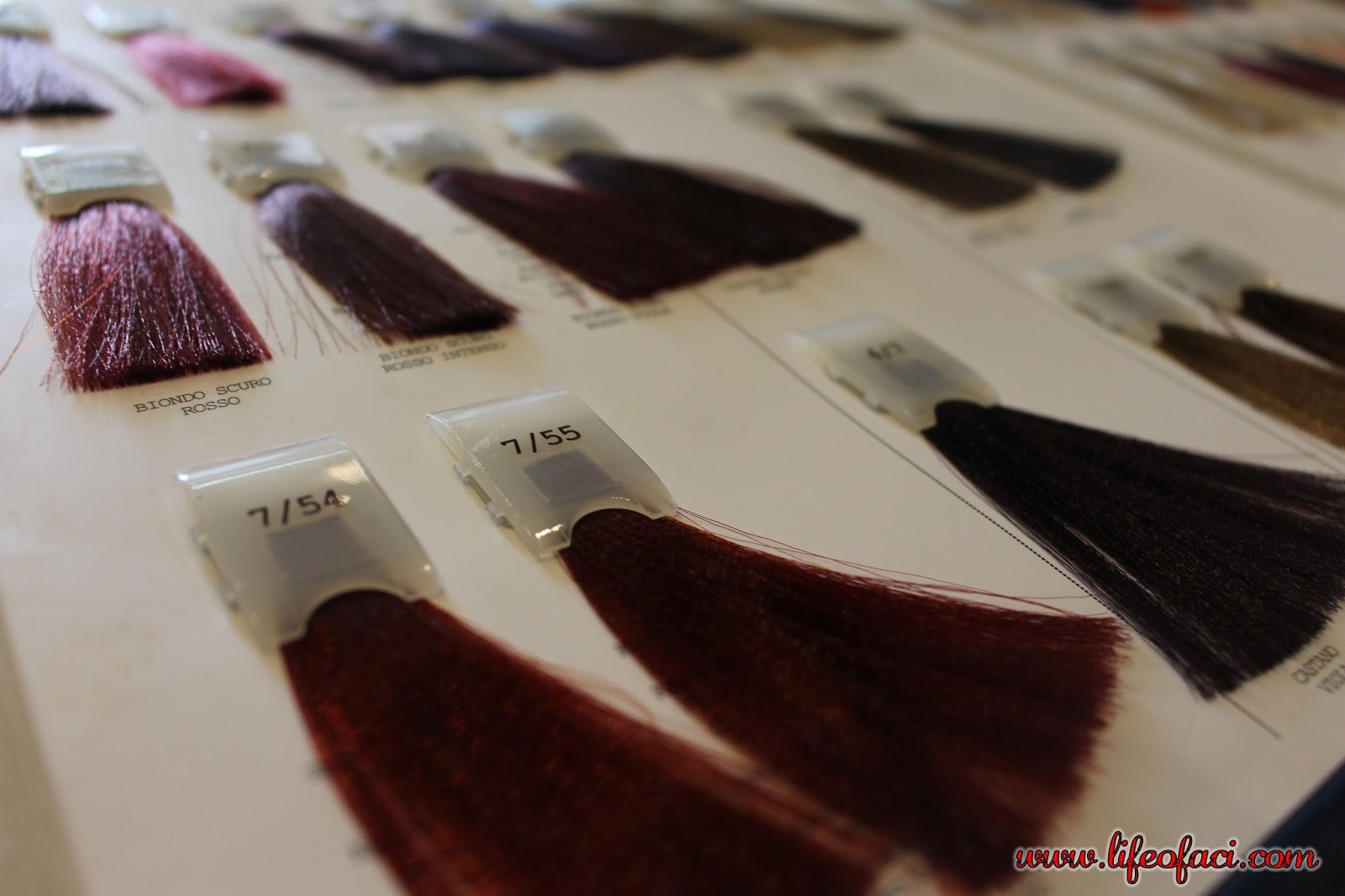 ELGON, Professional Hair Color From Milan Now in Manila + Fabulash from