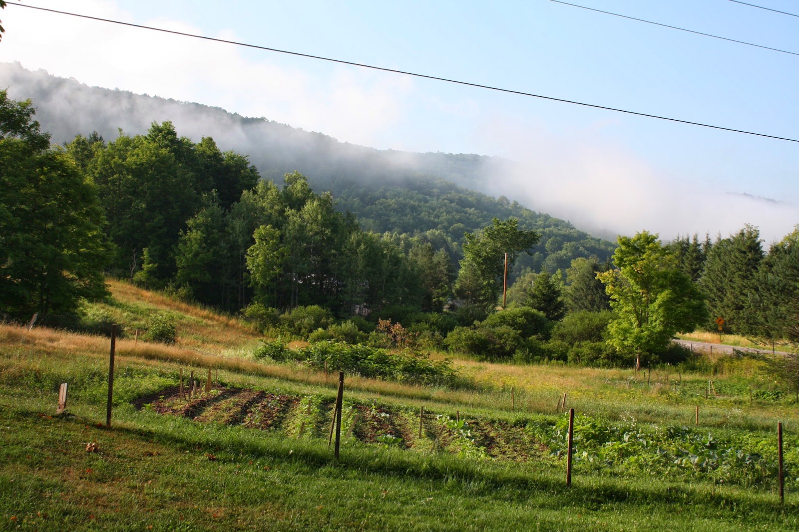 Ribbons and Lines Fracking Paradise The Catskills on Hold