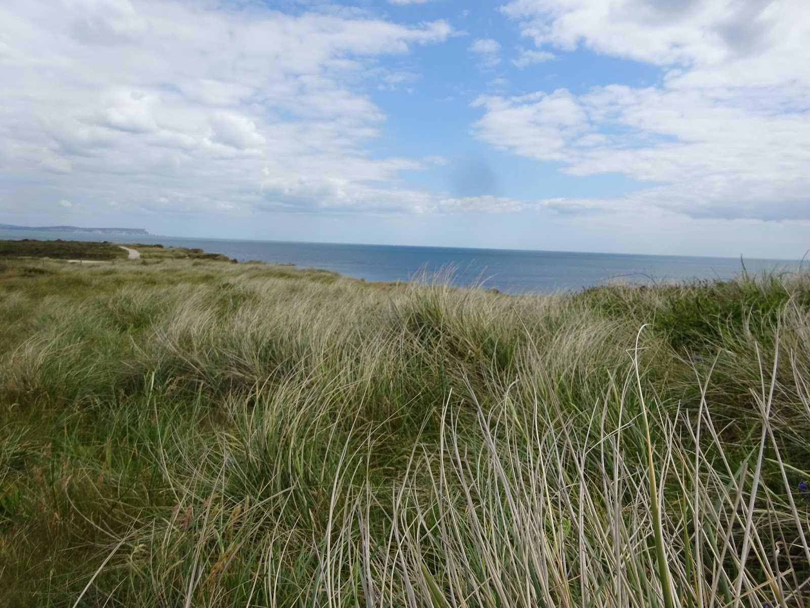 Another day, another walk Hengistbury Head, Dorset.